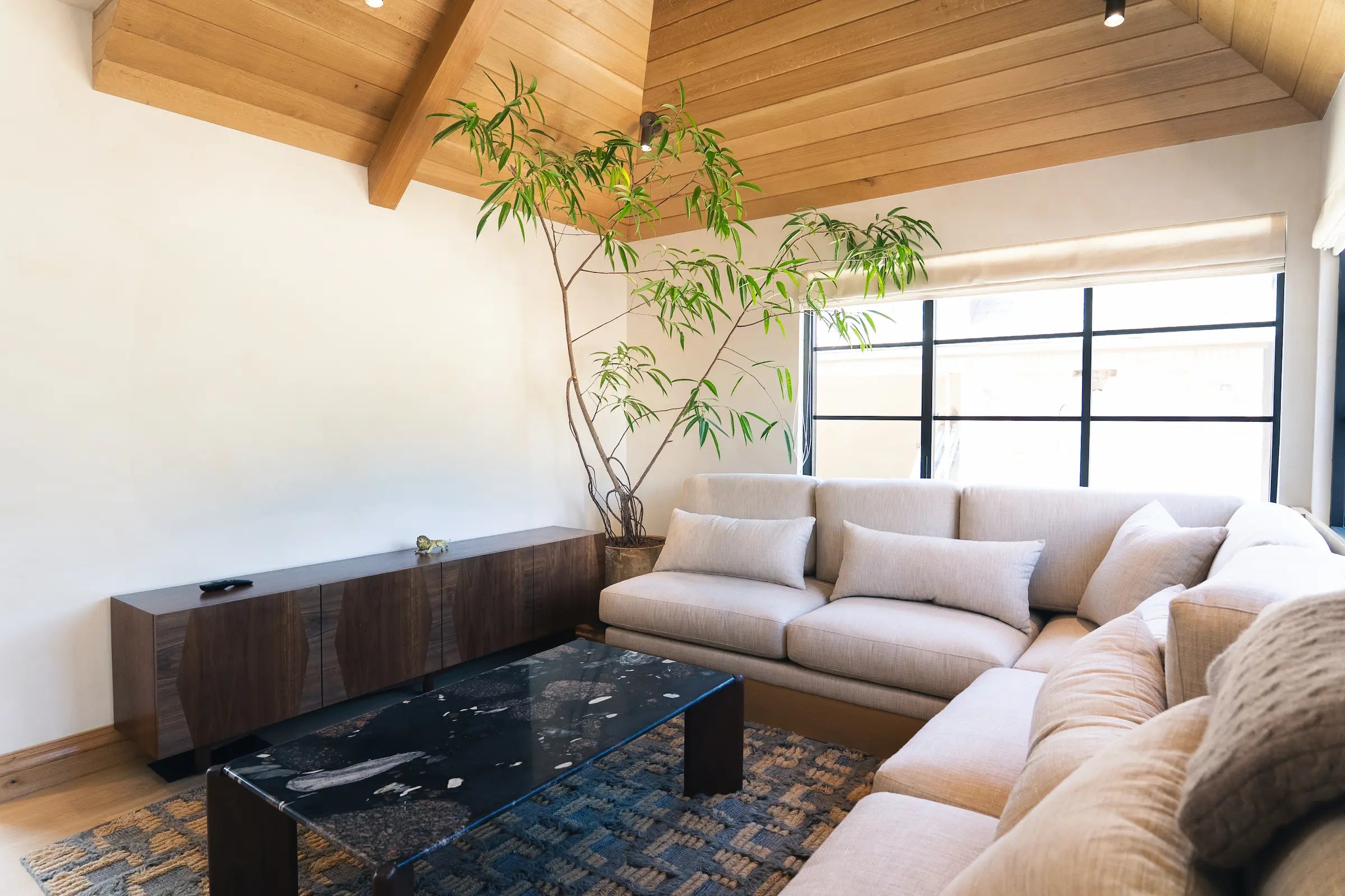 How to Care for Your Ficus maclellandii (Ficus Alii)