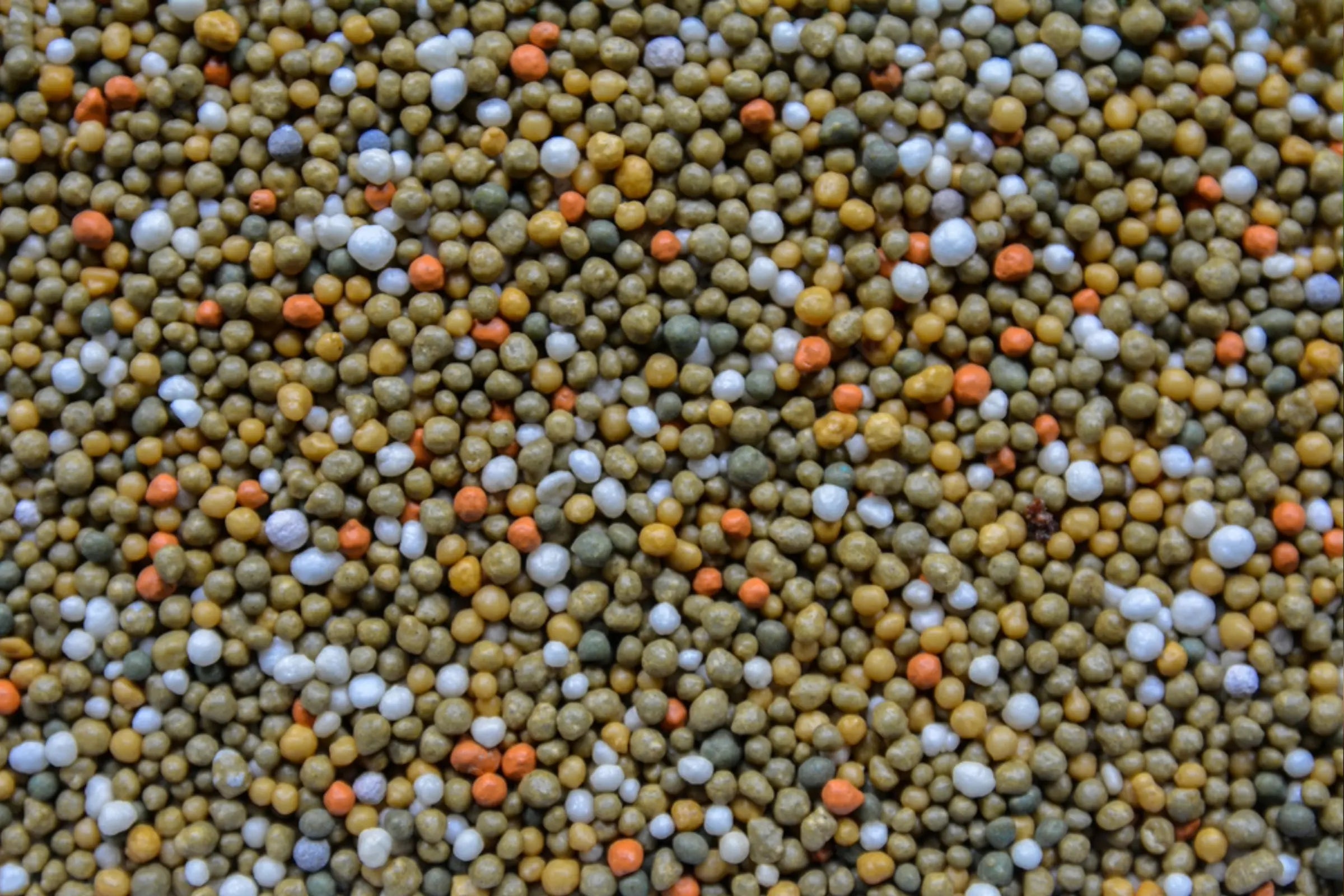 How to Fertilize Indoor Plants Properly (Without Overdoing It)