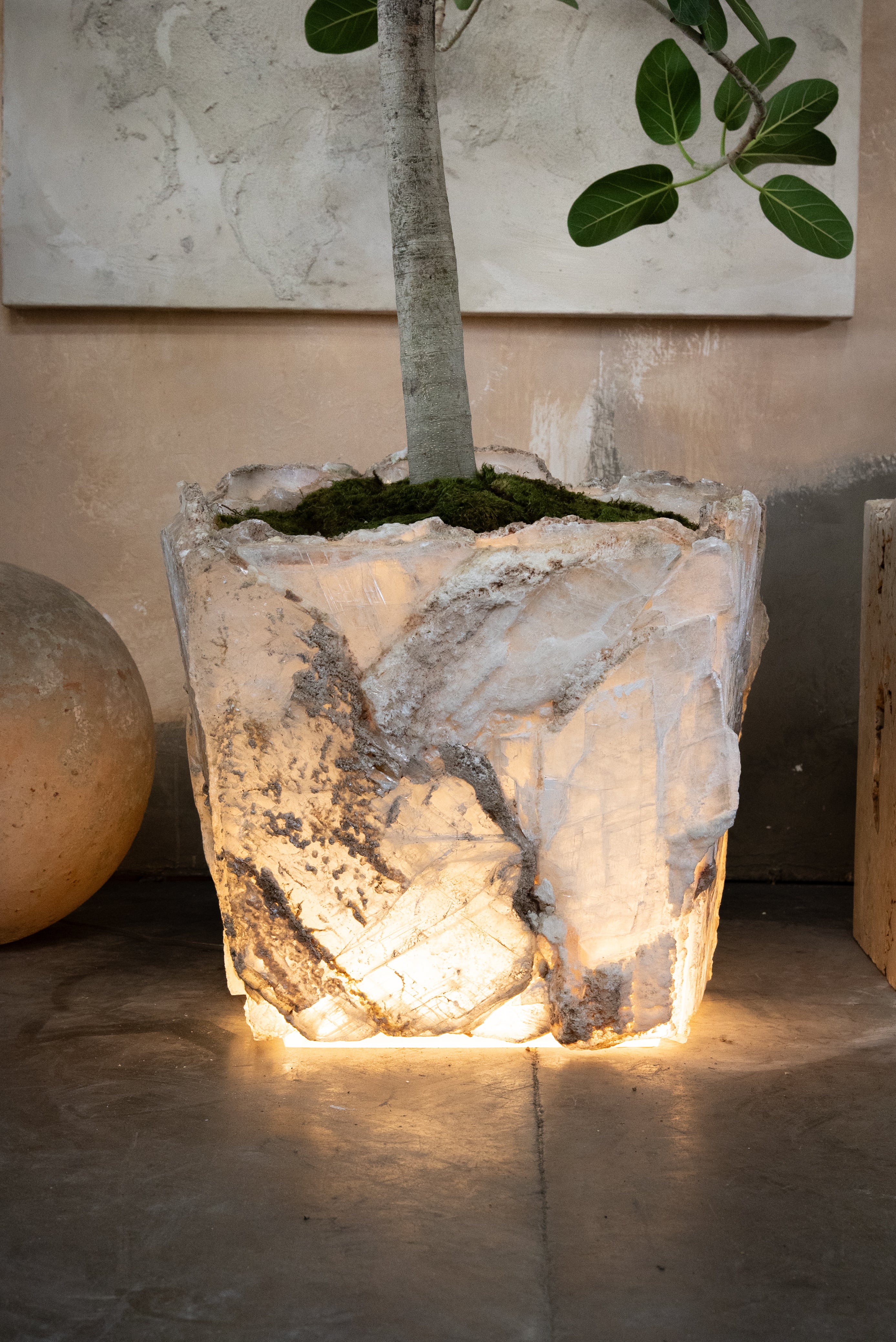 Illuminated Selenite Planter