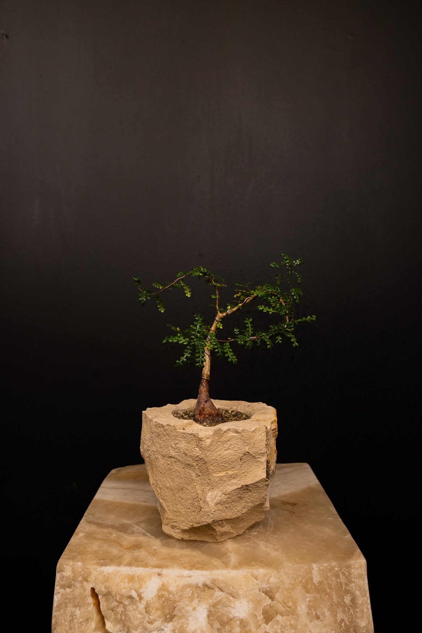 Woodstone Pot "POT ONLY"
