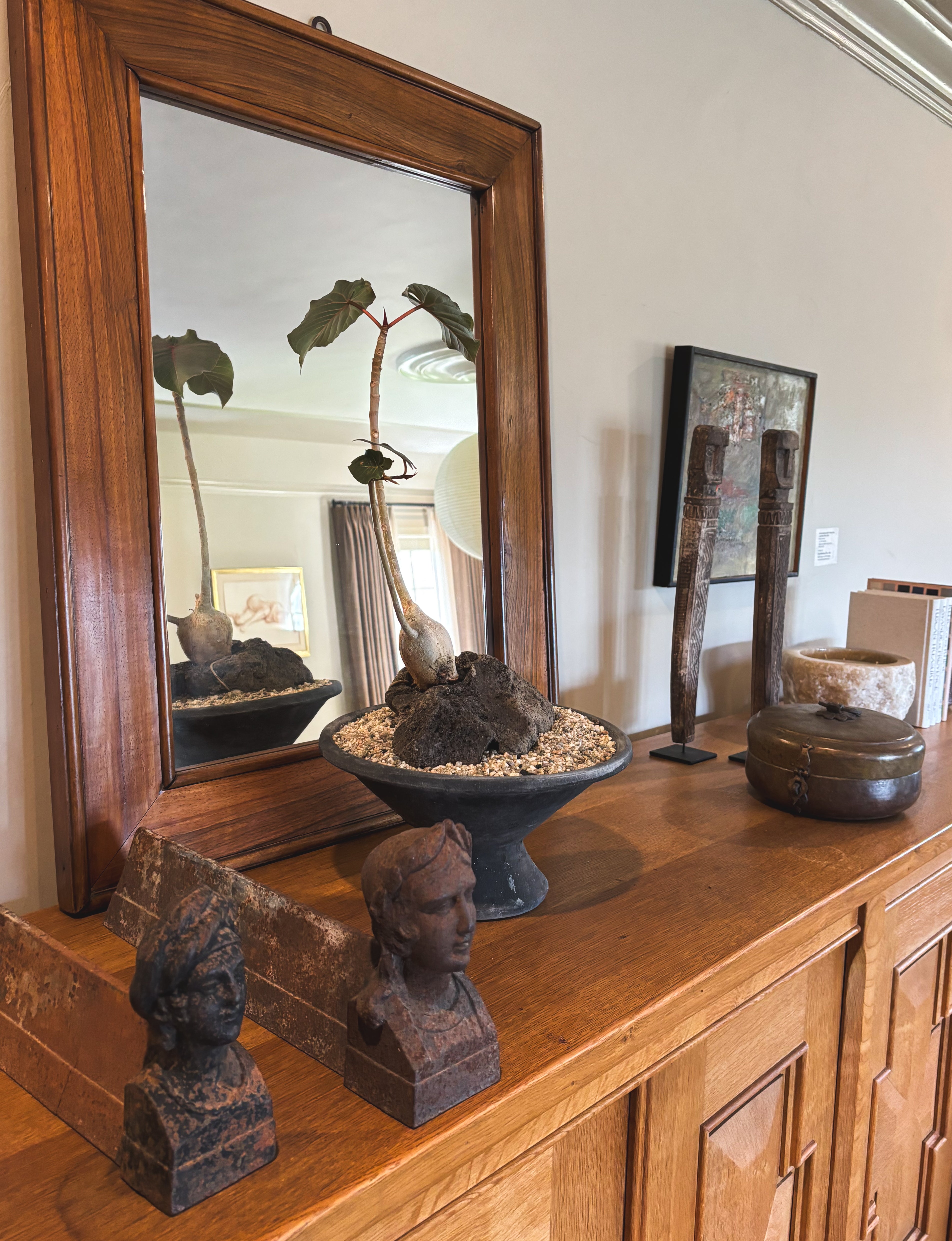 Mexican Rock Fig + Lava Stone Egyptian Vessel