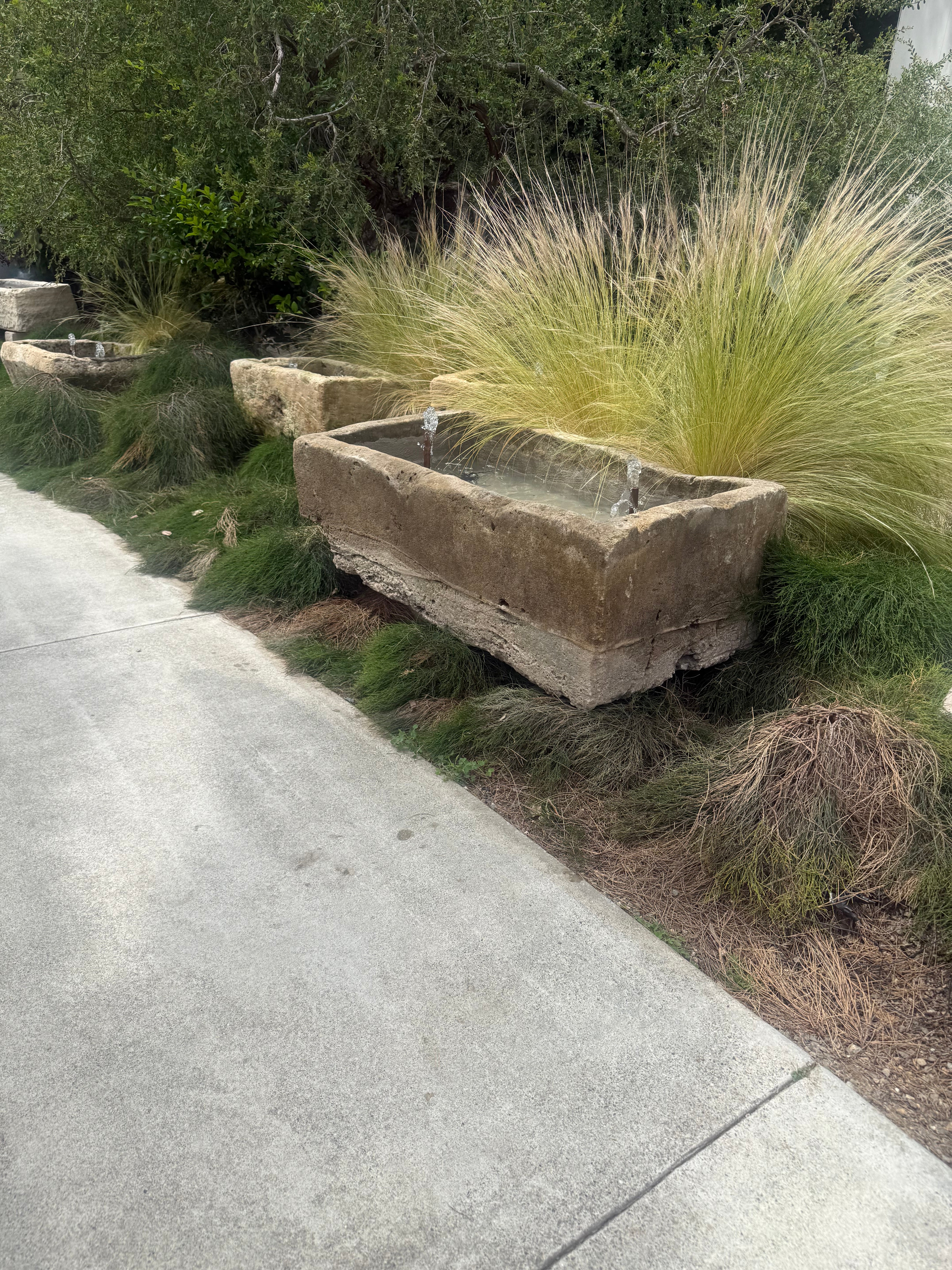 wellspring-3