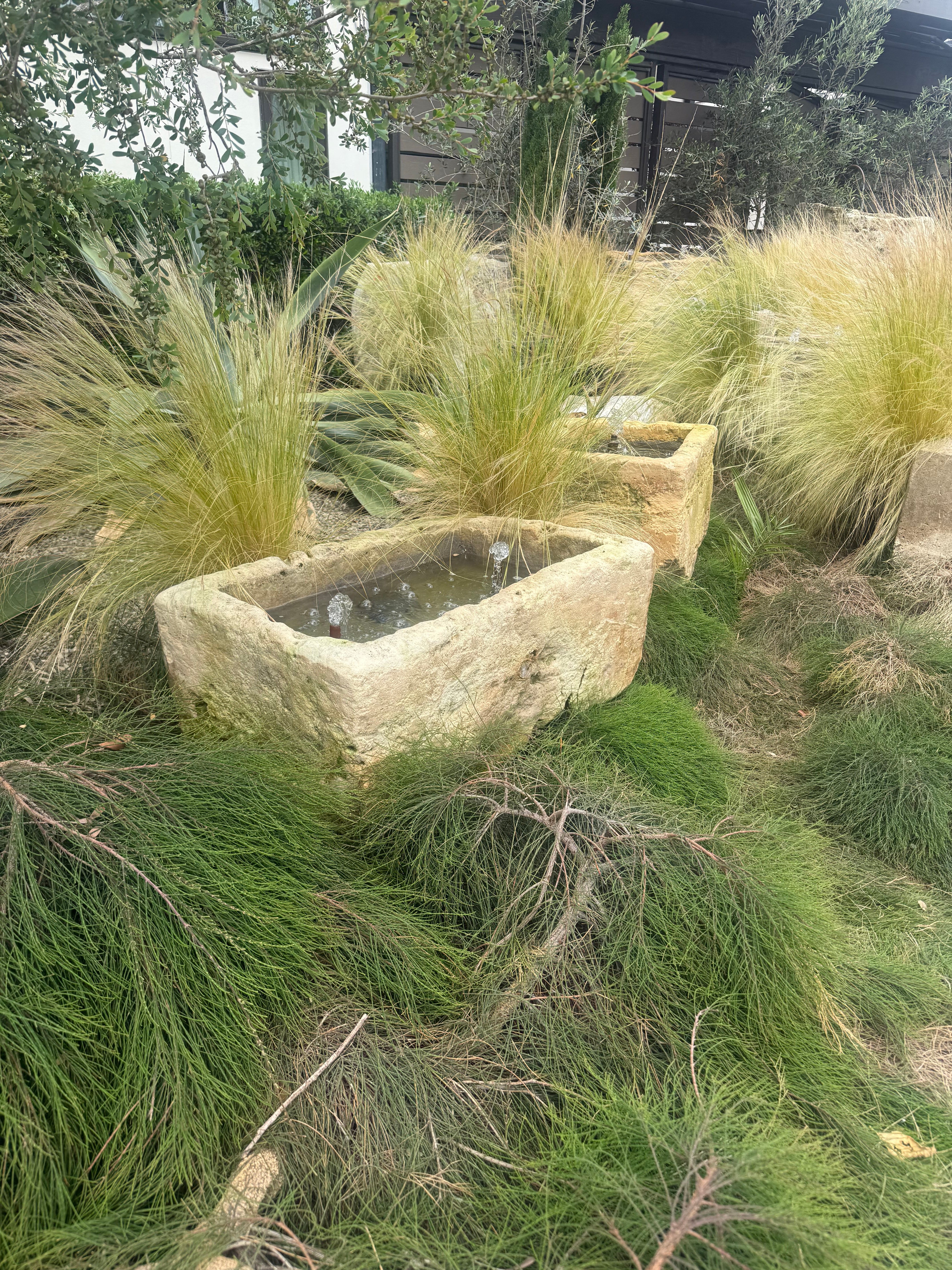 mossgrove-3