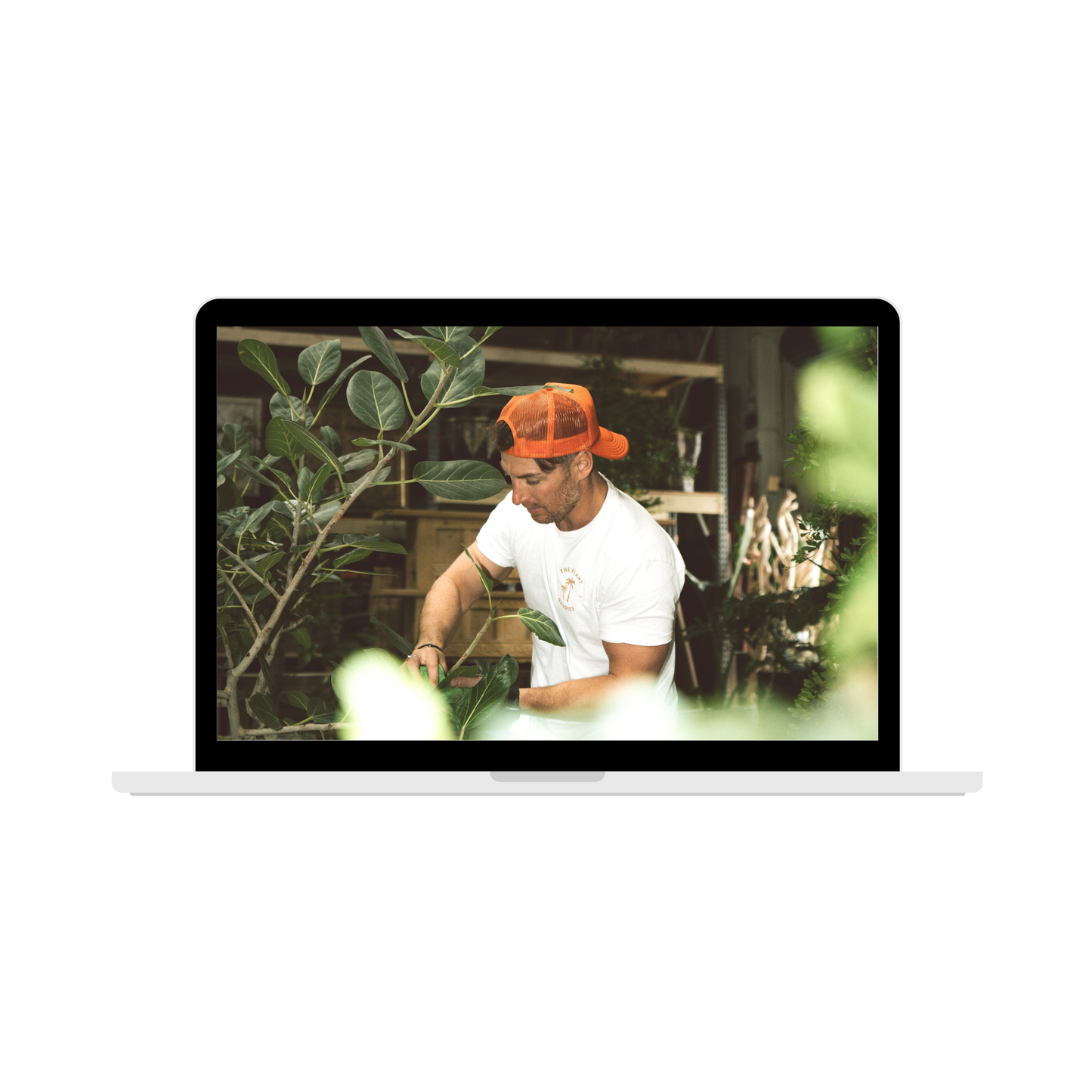 Virtual Consultation