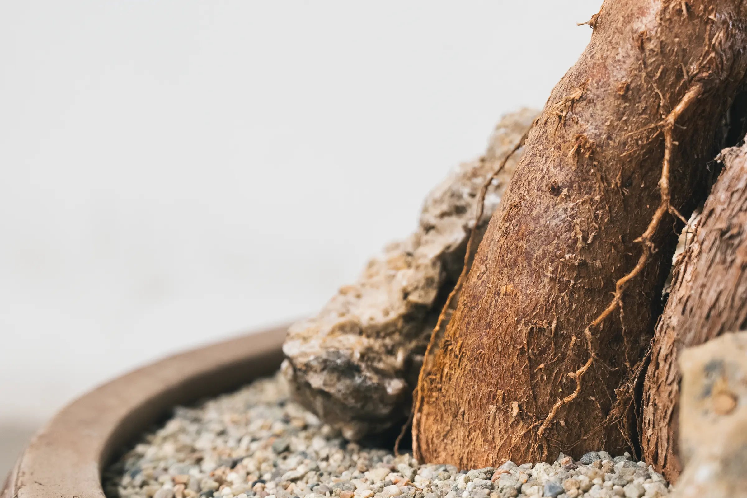 Soil Structure for Indoor Plants