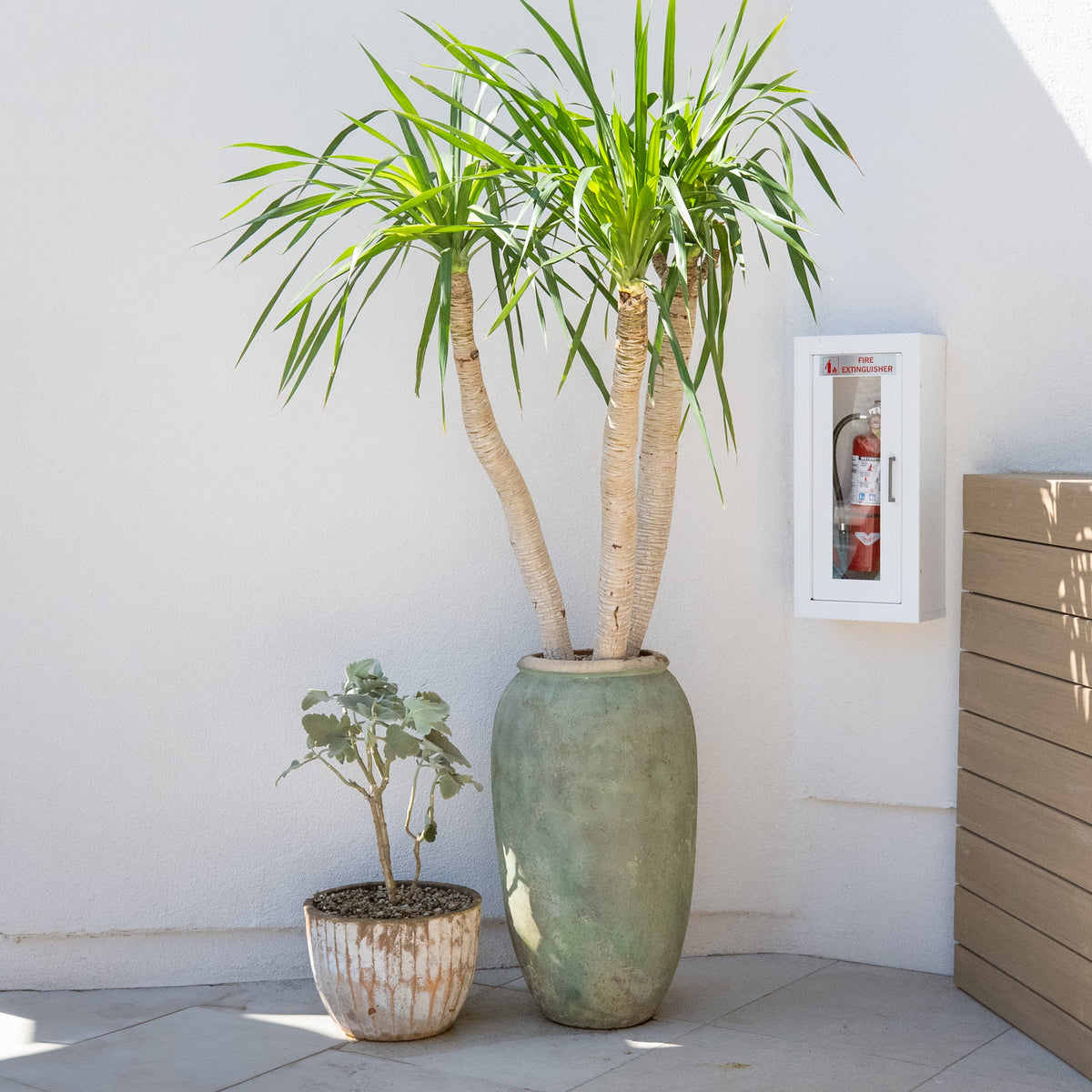 self watering indoor planter Self Watering Plant Globes  Plant Material