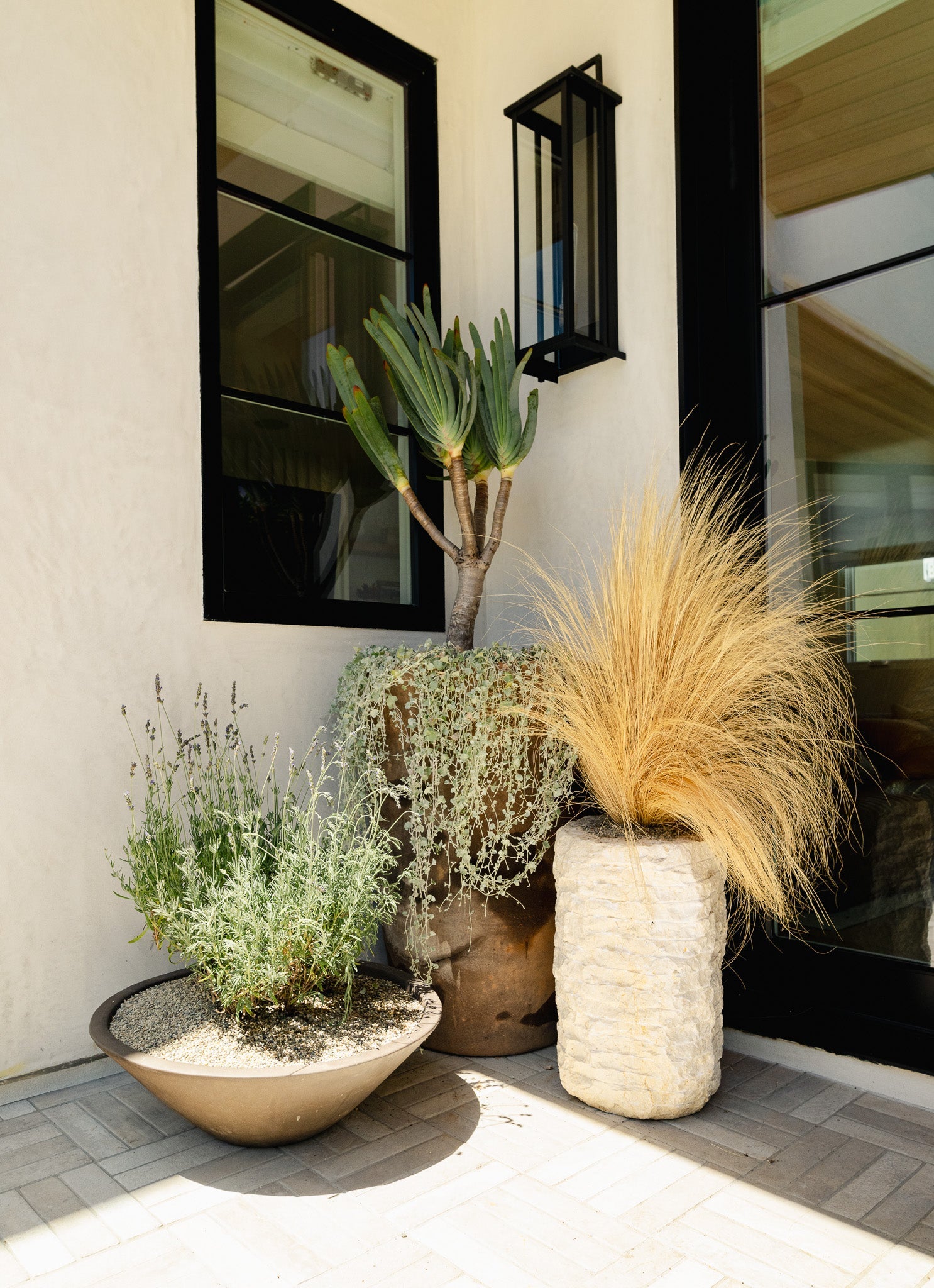 Exterior Plant care guide