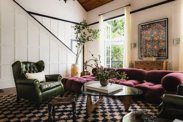 How to Care for Your Ficus triangularis (Triangle Fig)