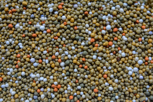 How to Fertilize Indoor Plants Properly (Without Overdoing It)