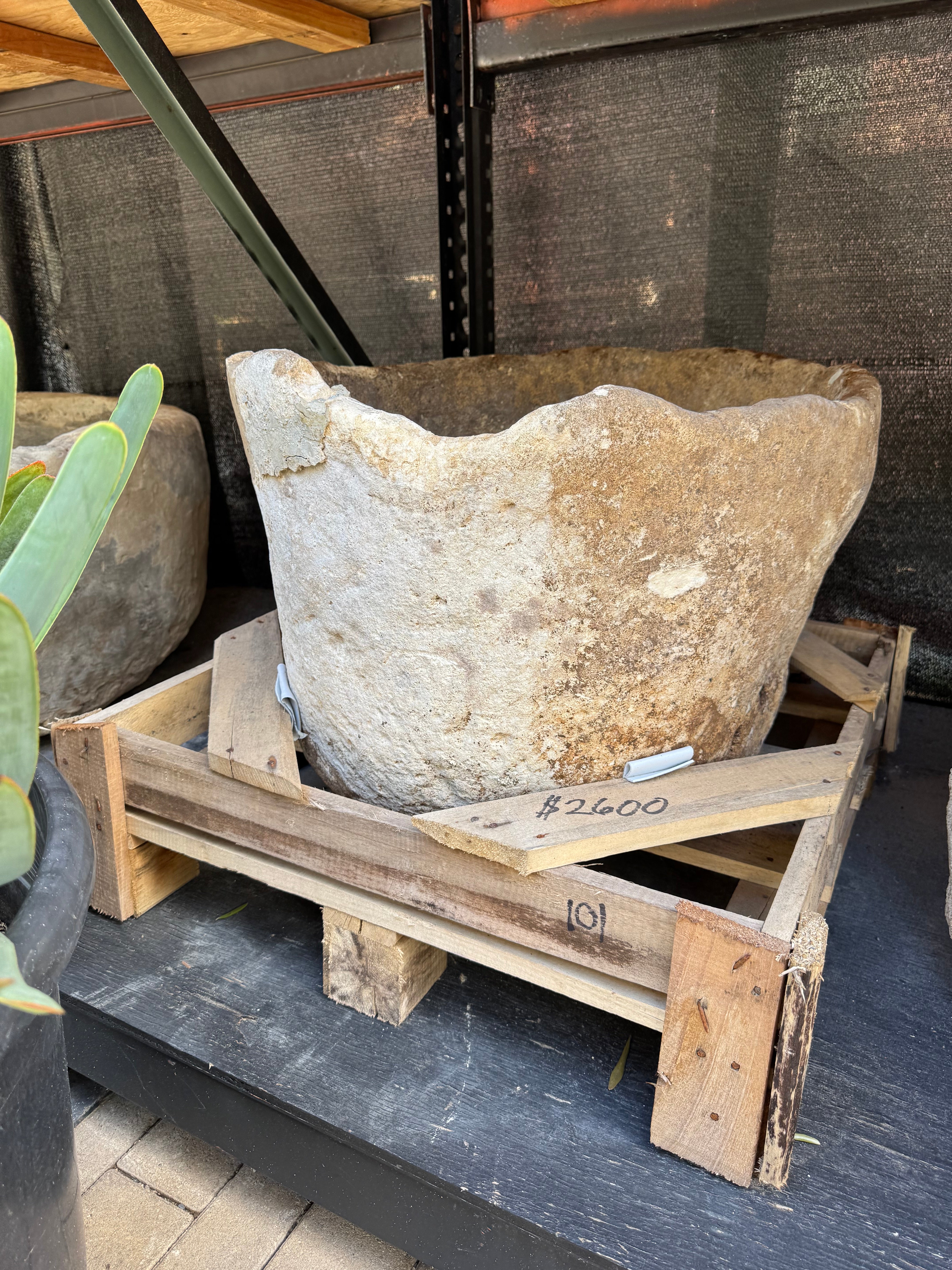 Aged Limestone 101