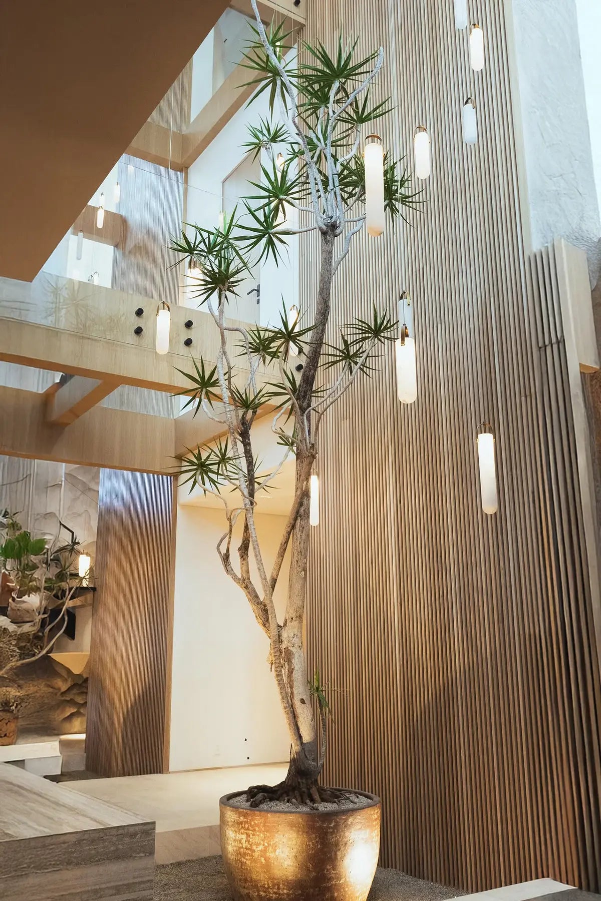The Plant Daddies — signature installation