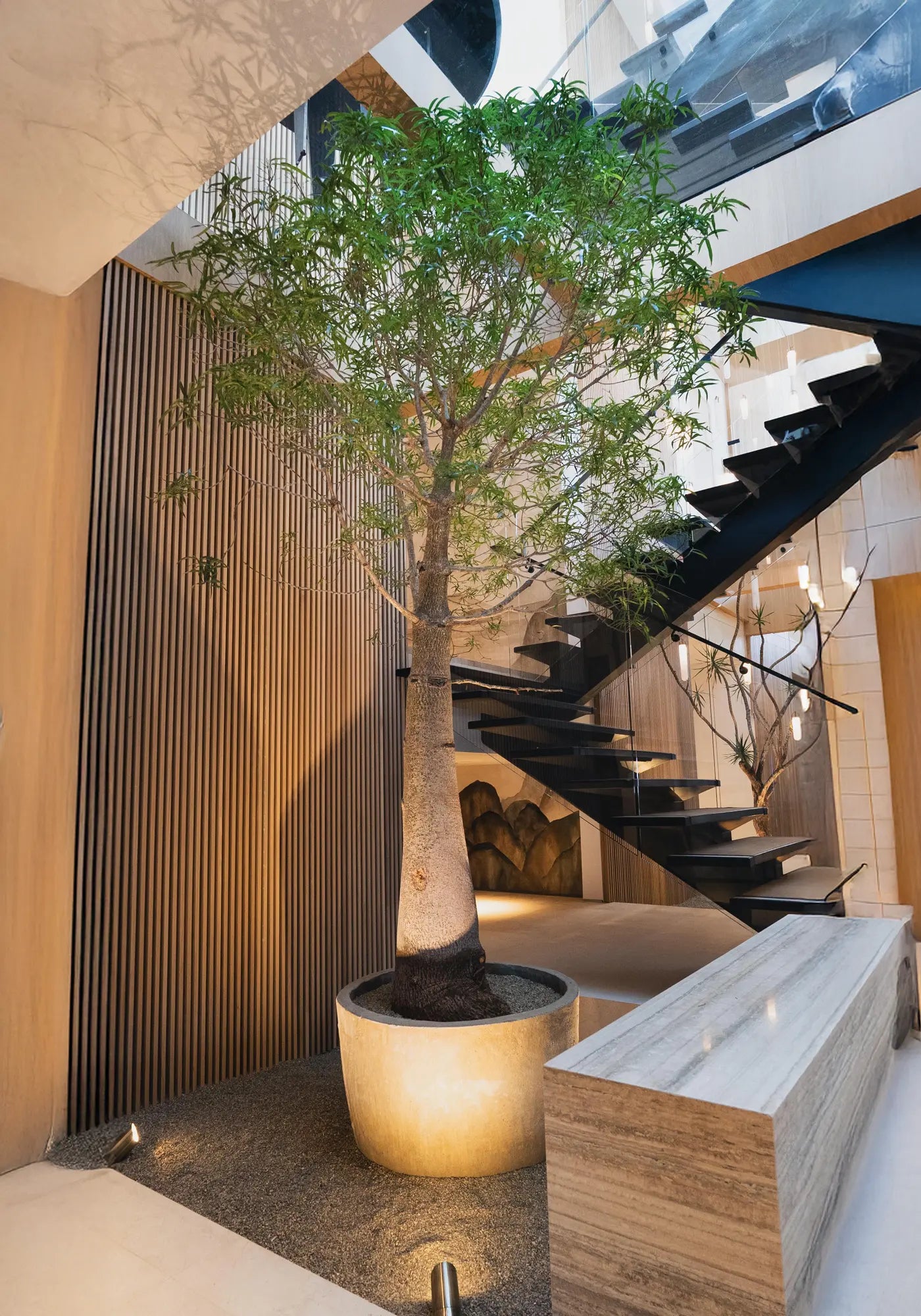 The Plant Daddies β bring your space to life