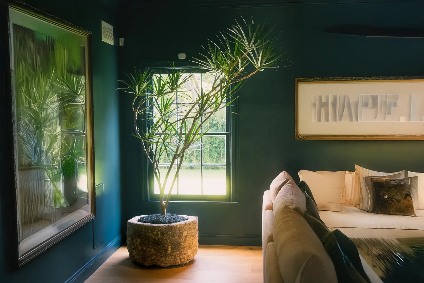 The Plant Daddies FAQ