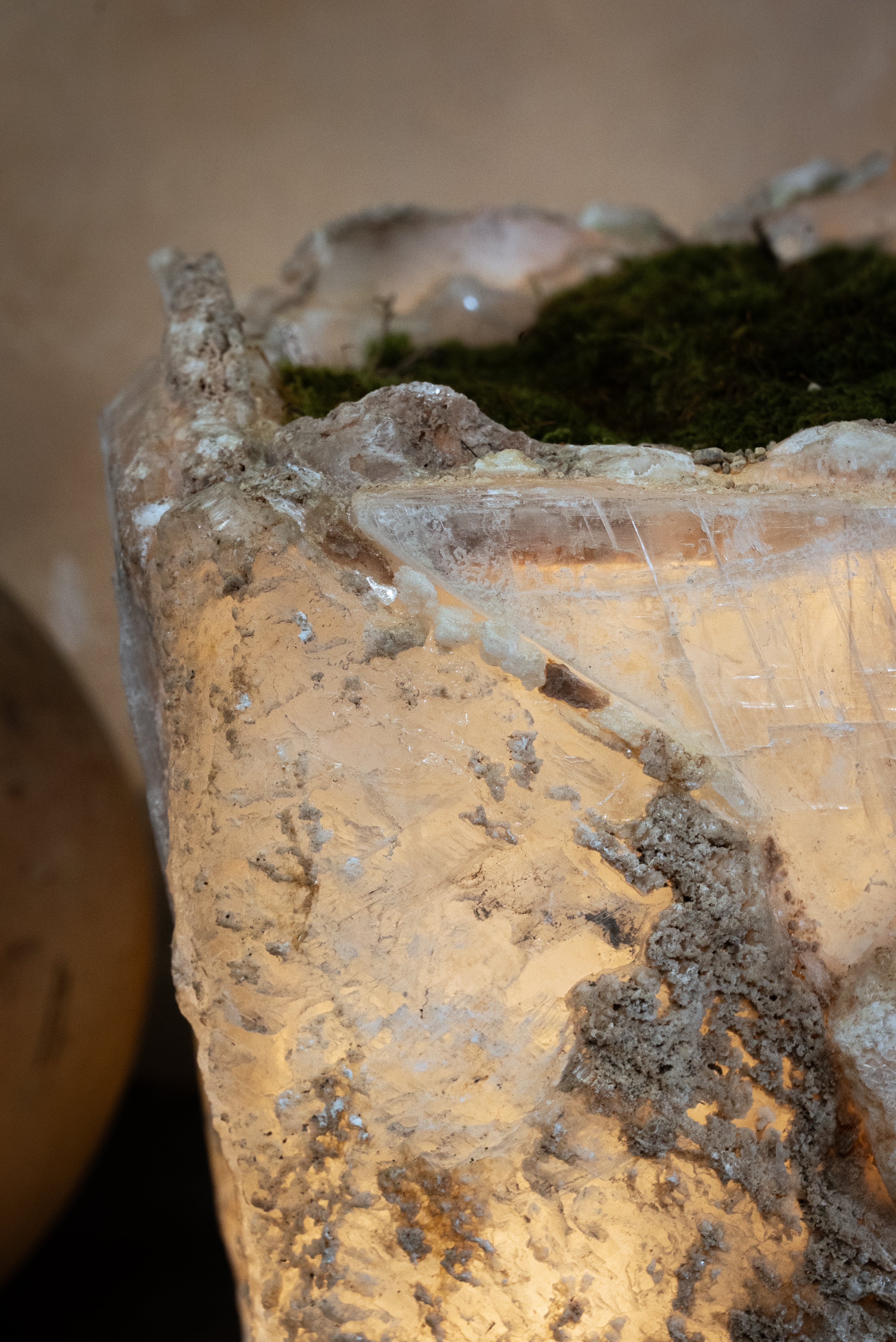 Illuminated Selenite Planter