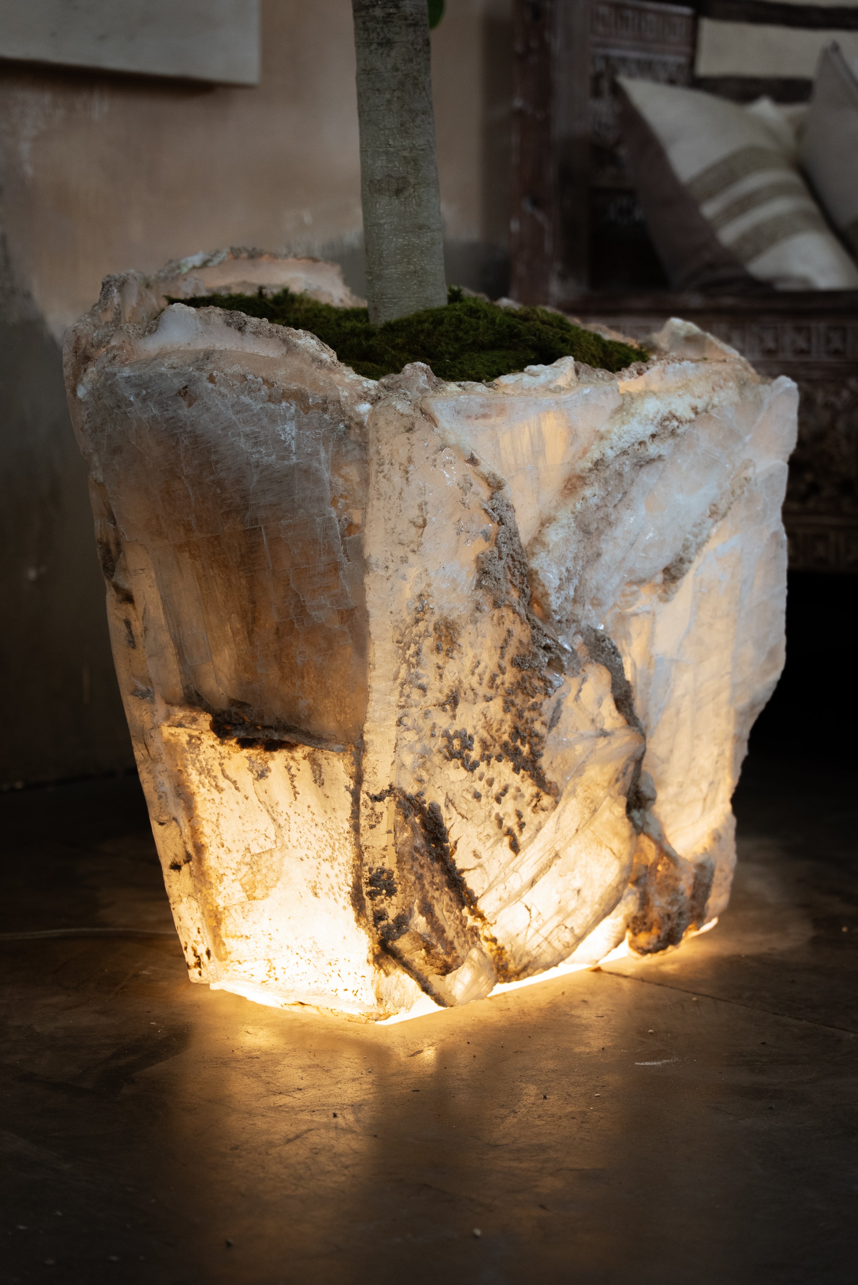 Illuminated Selenite Planter