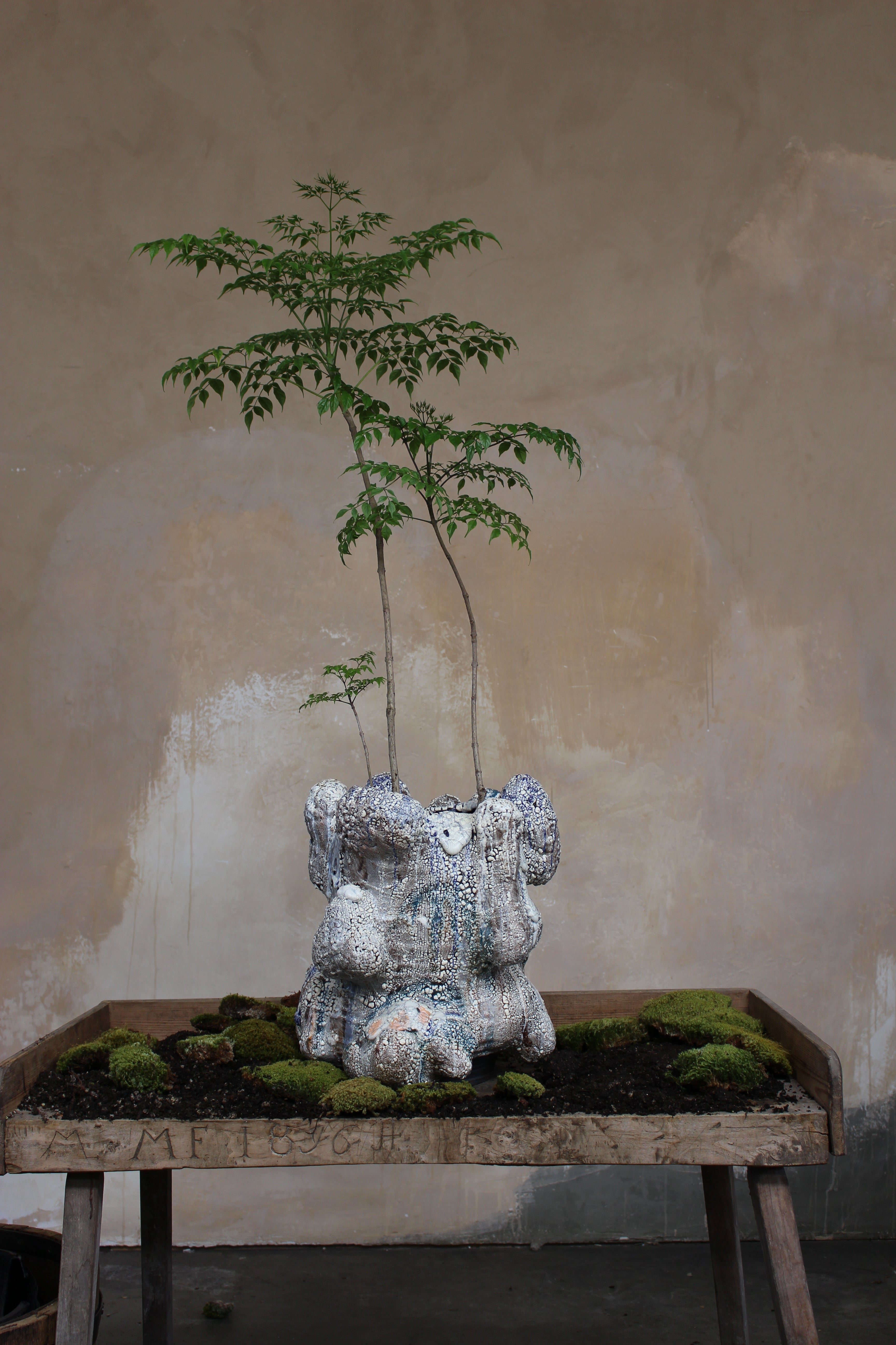 VINCE PALACIOS- CAVE VESSEL WHITE FROST
