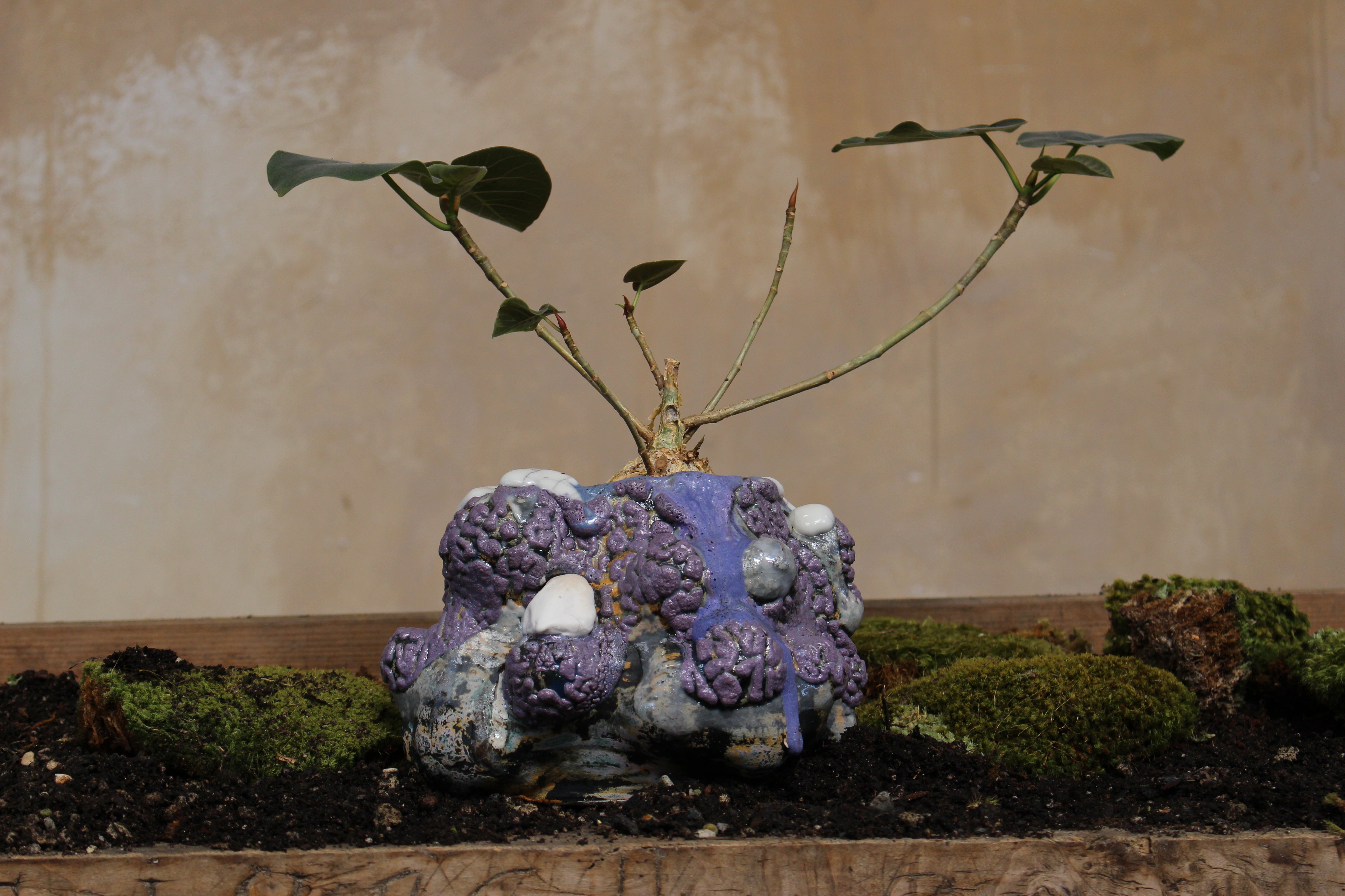 VINCE PALACIOS- CAVE VESSEL: PURPLE W/WHITE LIP