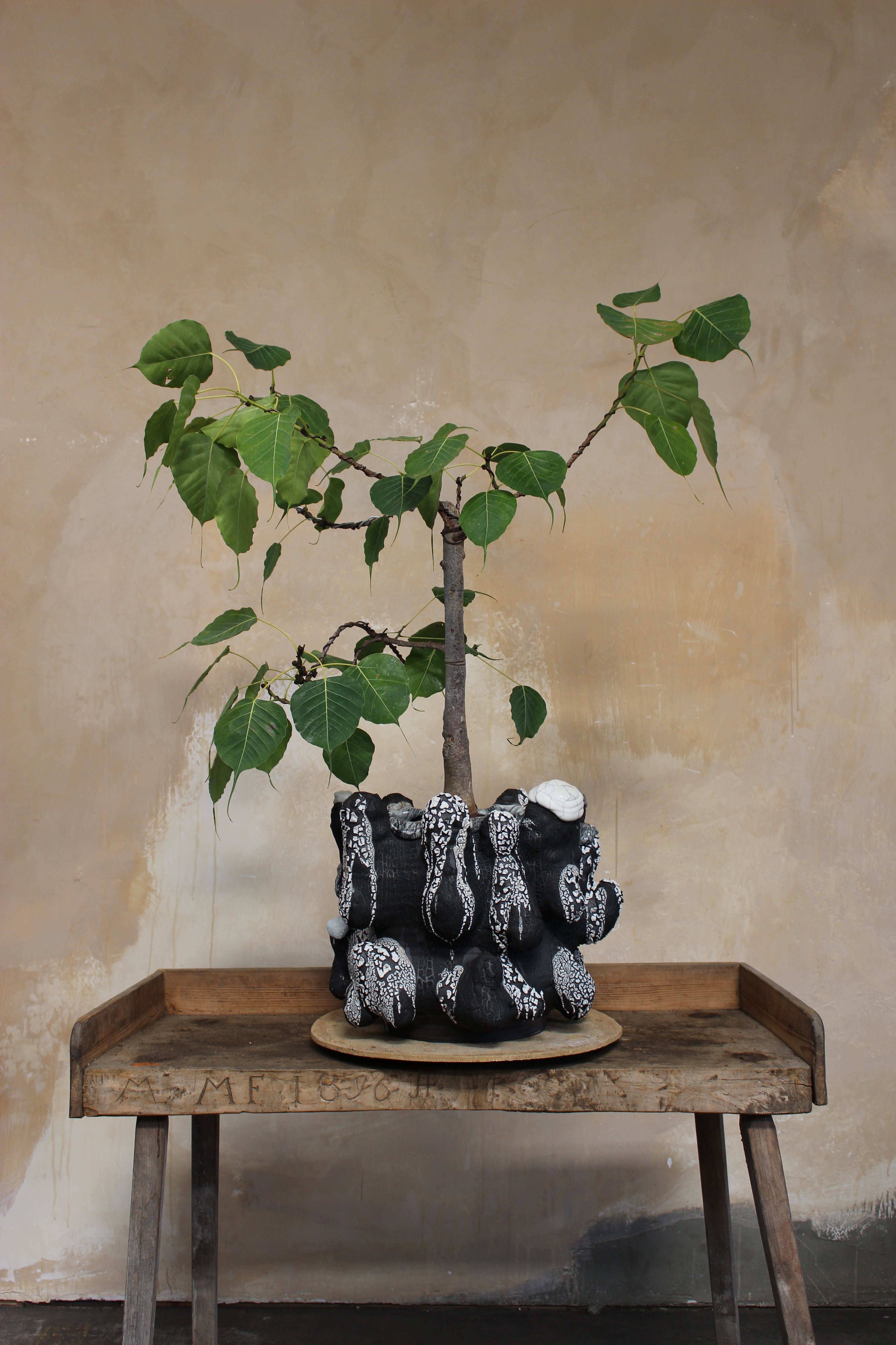 VINCE PALACIOS- CAVE VESSEL: BLACK LICHEN