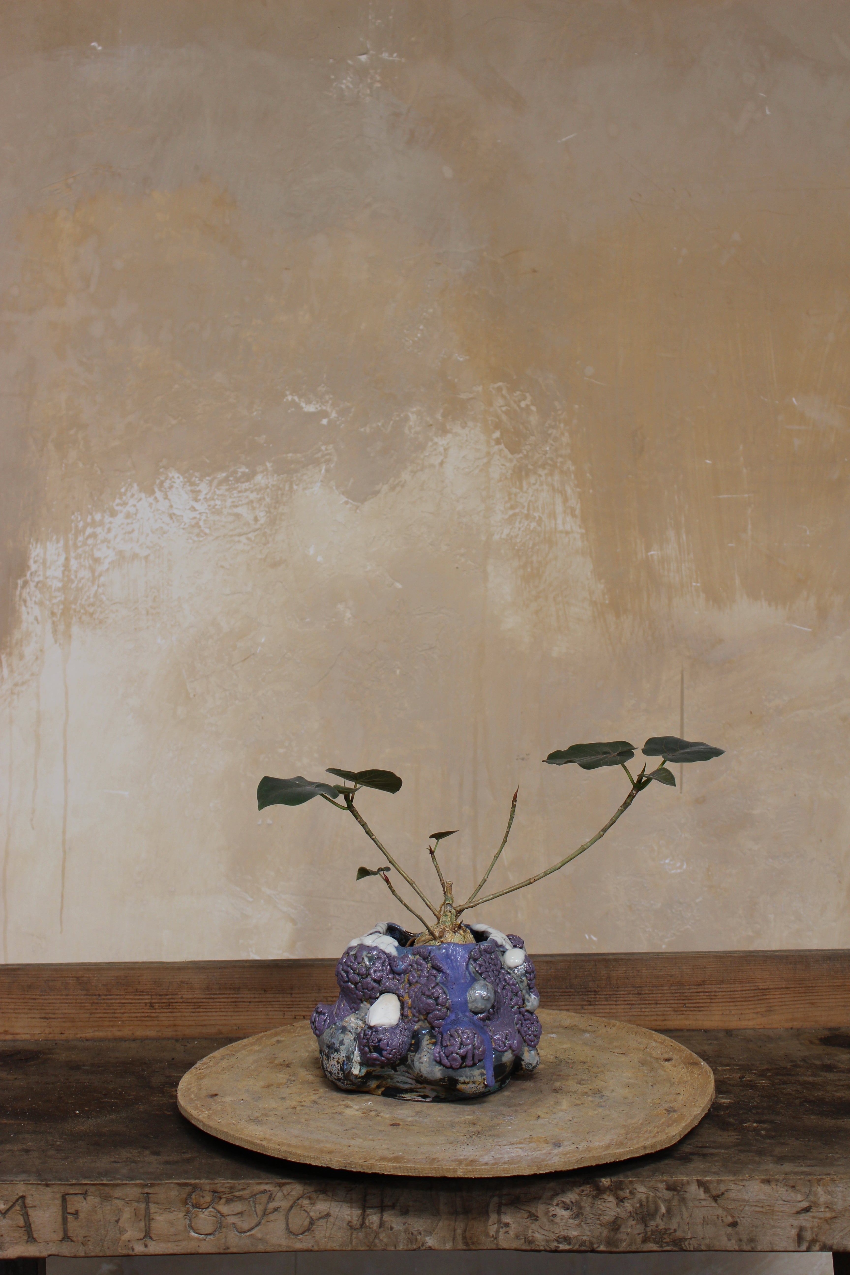 VINCE PALACIOS- CAVE VESSEL: PURPLE W/WHITE LIP
