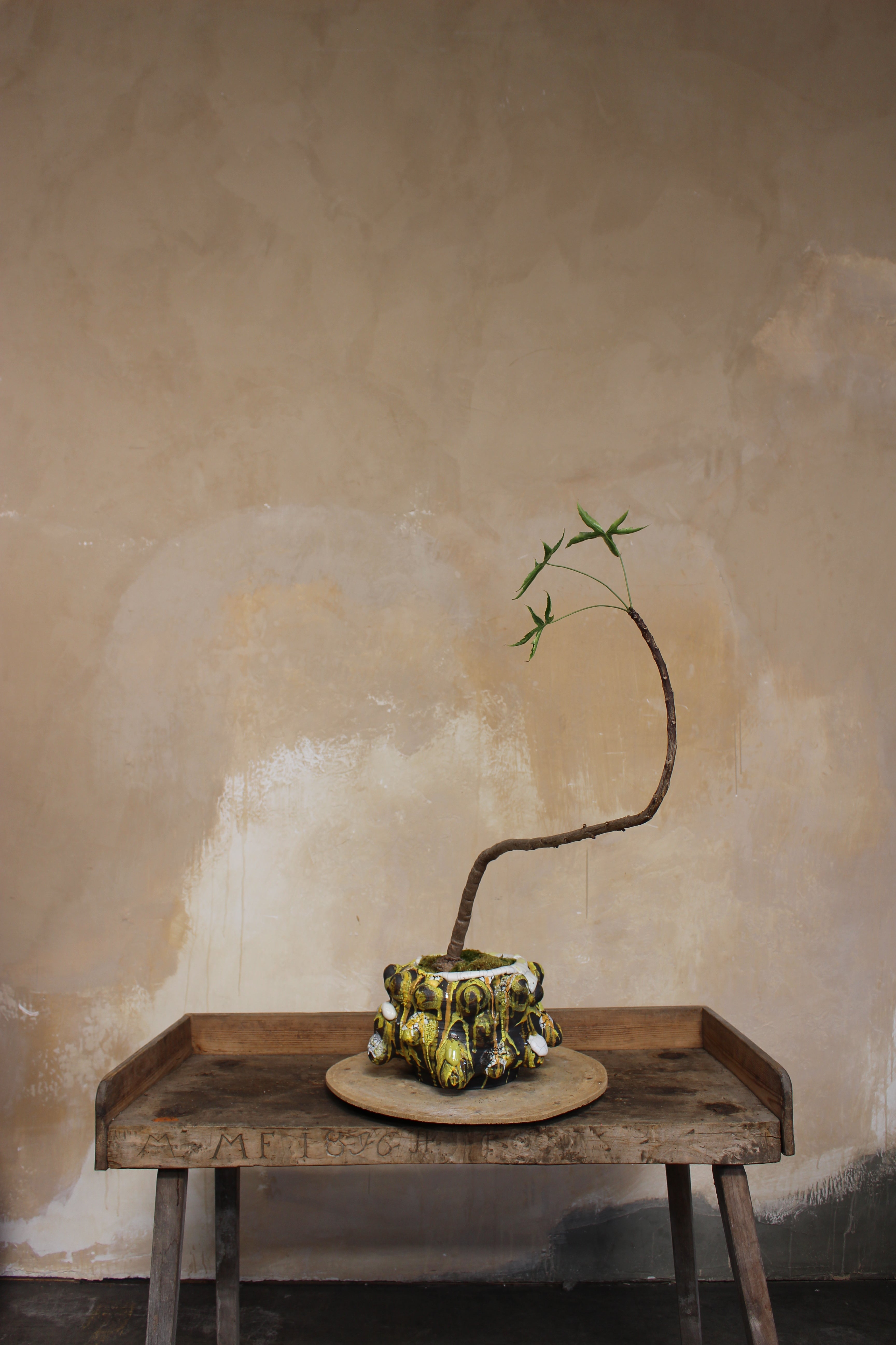 VINCE PALACIOS- CAVE VESSEL YELLOW HIVE
