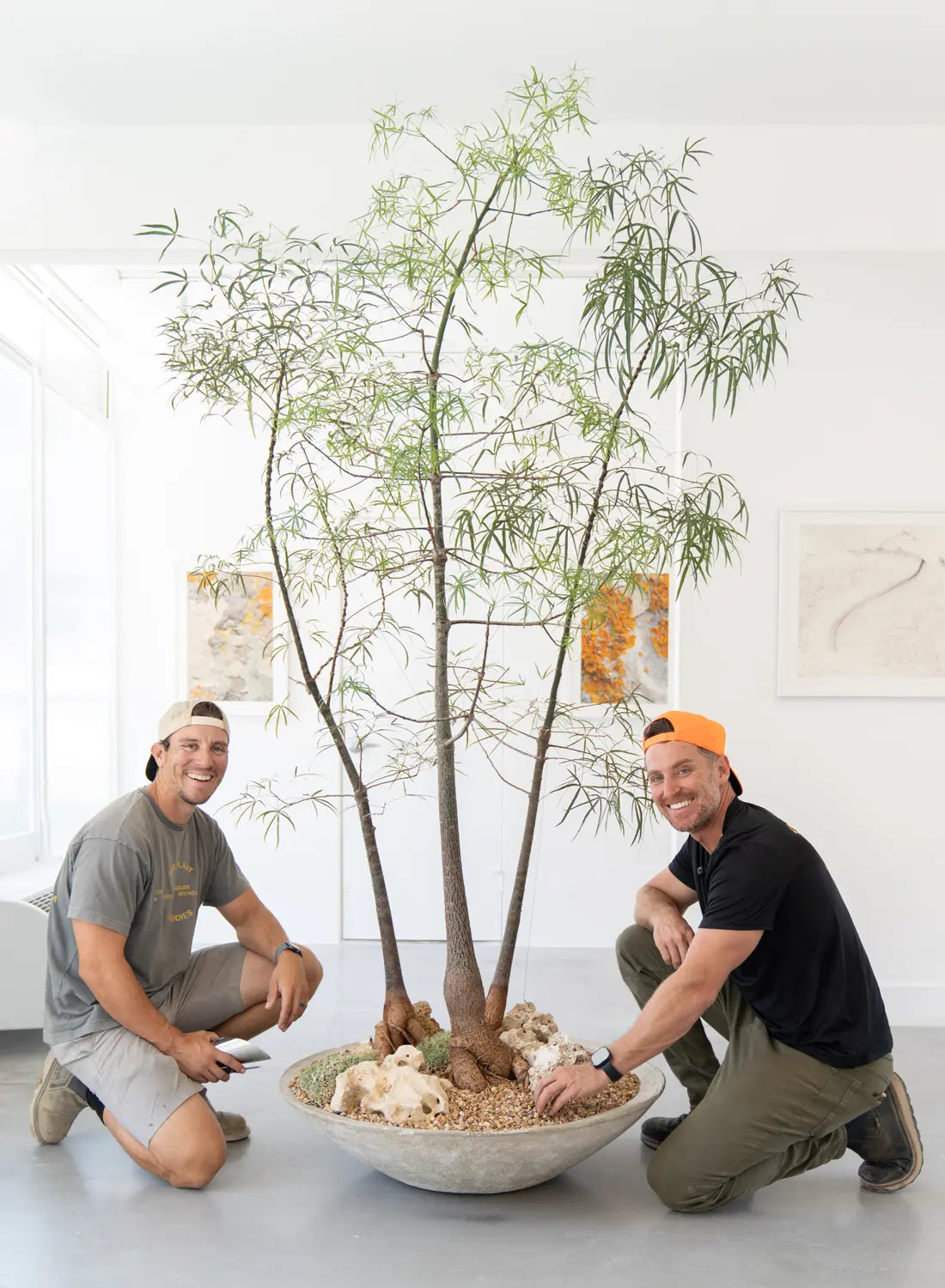 On-site consultation β plant placement