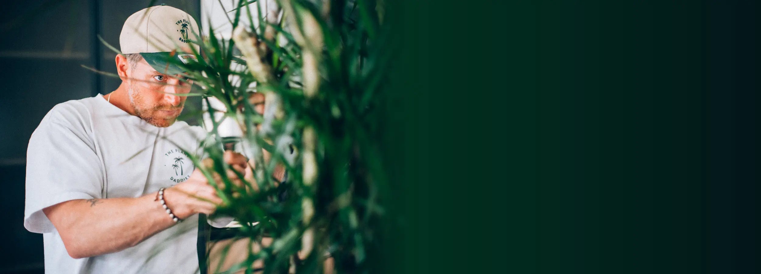 The Plant Daddies Society