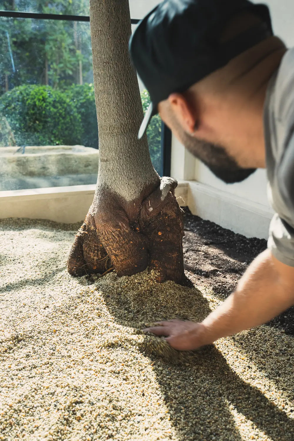 Plant care maintenance