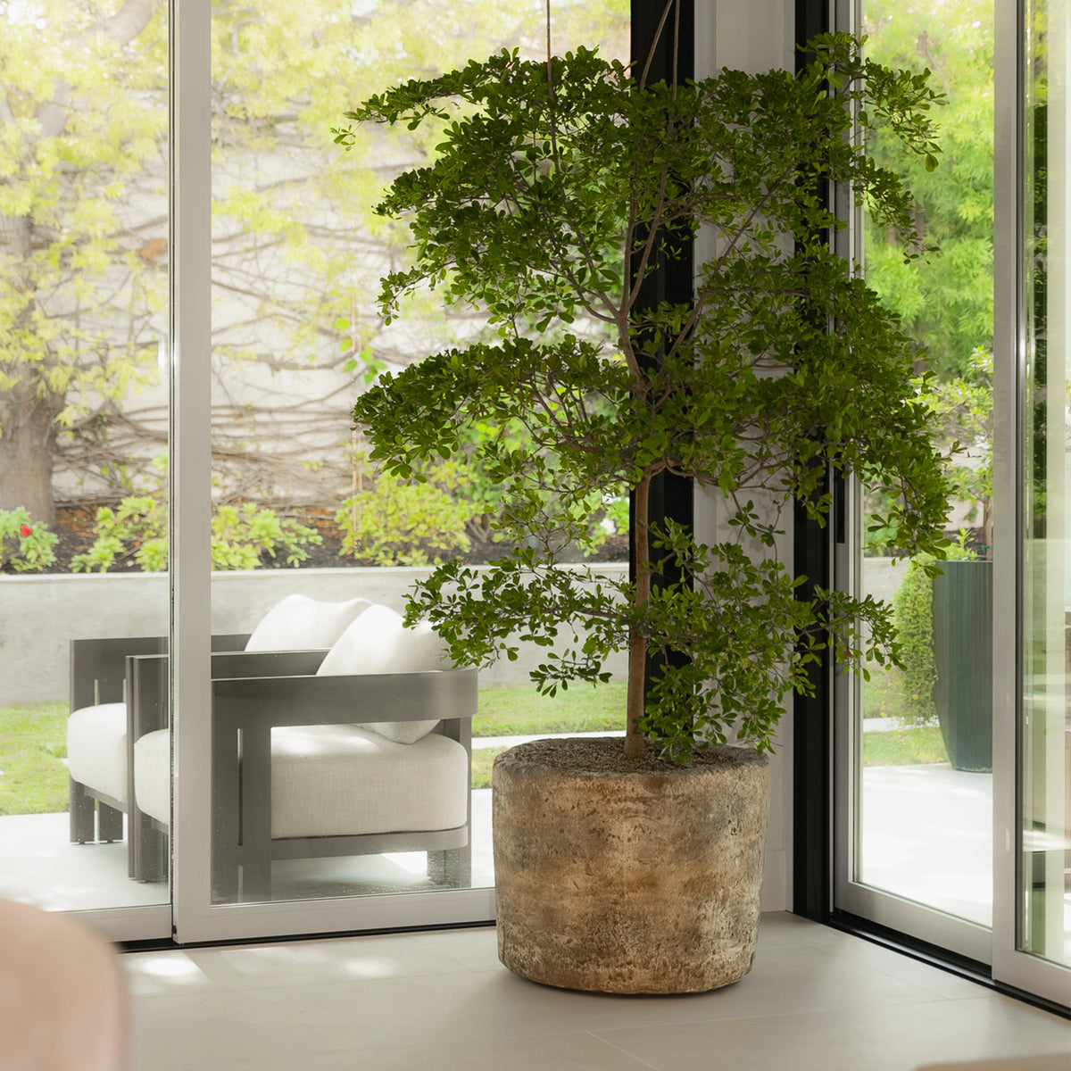 The Balboa