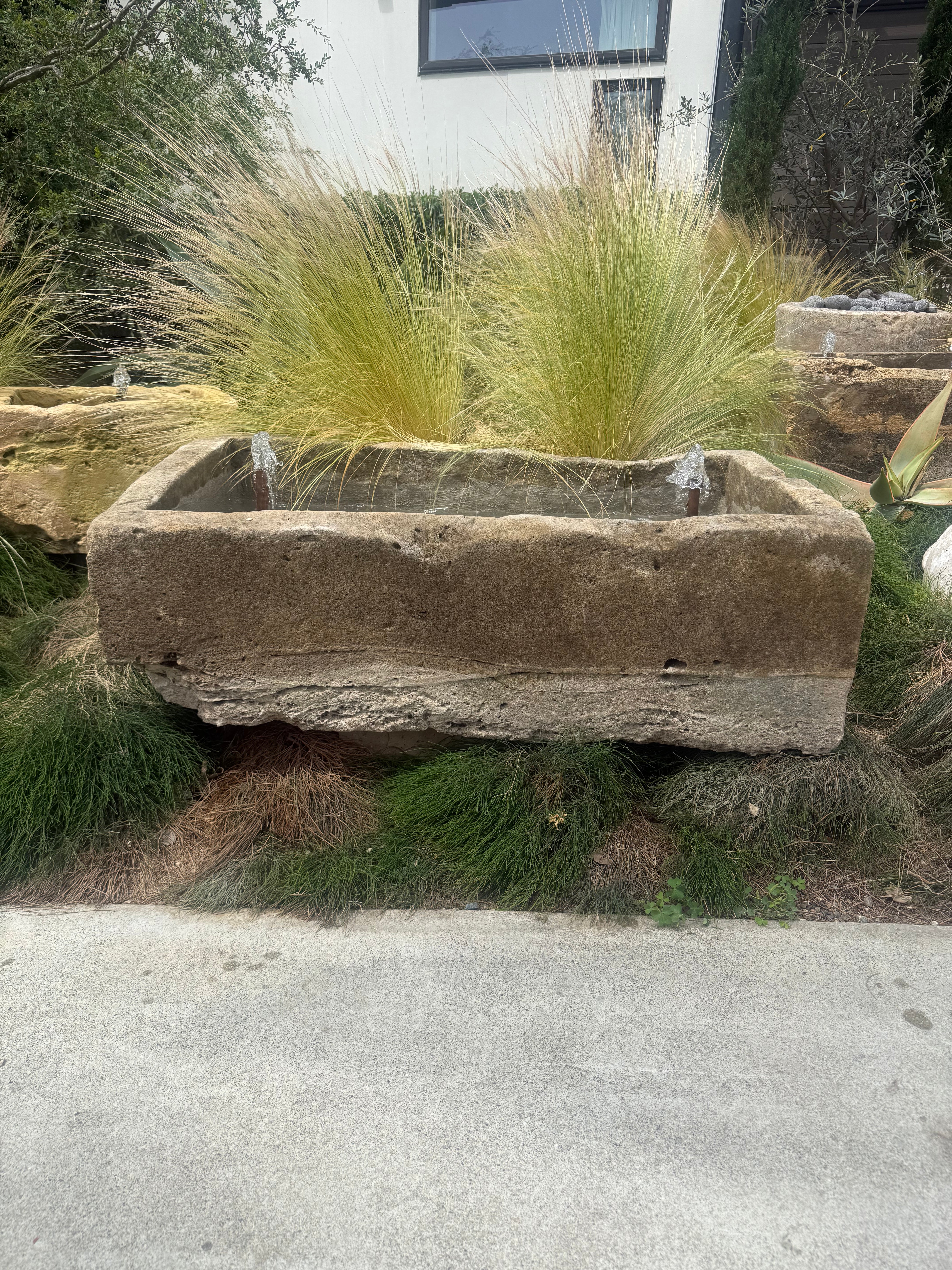 wellspring-1