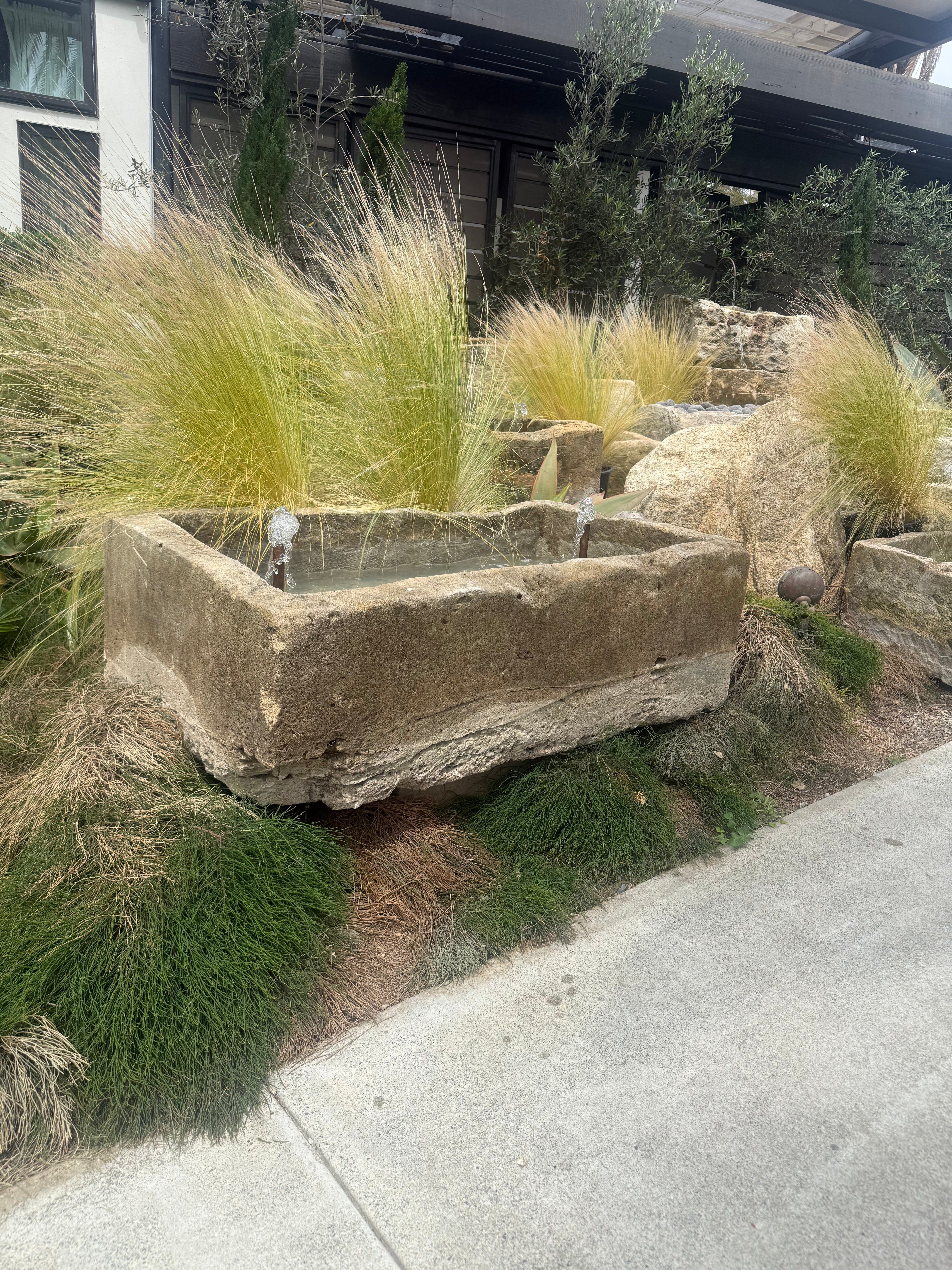 wellspring-2