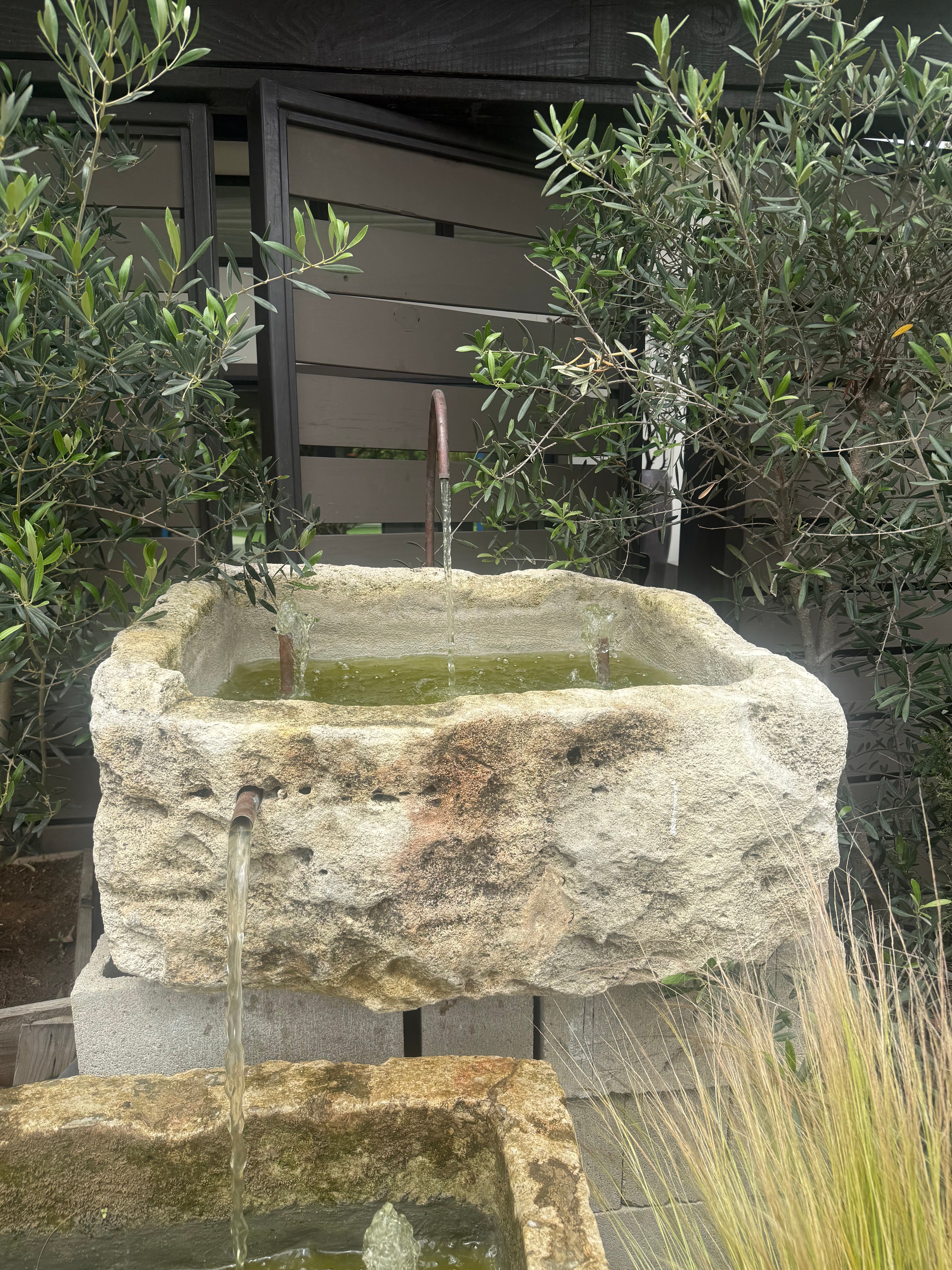 sedgewick-1